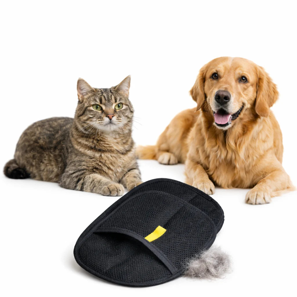 Pälsborttagning Handske- För en renare vardag